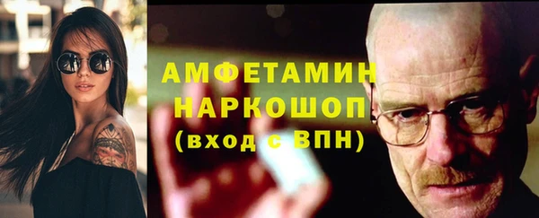 крисы Новокубанск