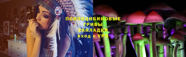 прущая мука Новодвинск