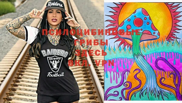 прущая мука Новодвинск