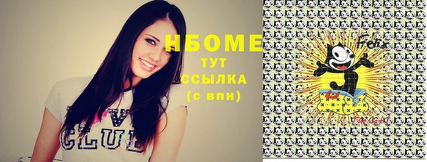 крисы Новокубанск