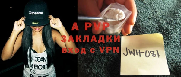 крисы Новокубанск