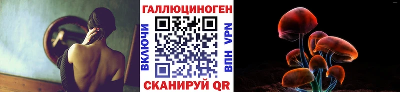 Купить  Батайск  Псилоцибиновые грибы Psilocybe 